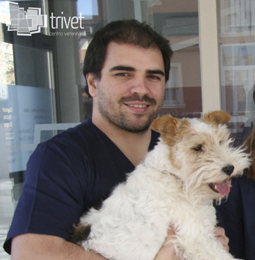 Centro Veterinario Trivet